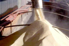 Um-dos-produtos-finais-acucar-refinado