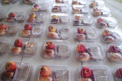 Lanche-de-trilha-para-caminhada-no-Parque