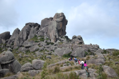 Trilha-no-interior-do-Parque-de-Itatiaia