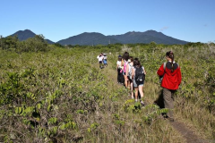 Estudos-ao-longo-de-trilha-na-restinga