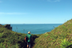 Observacao-de-elementos-vegetais-ao-longo-de-trilha