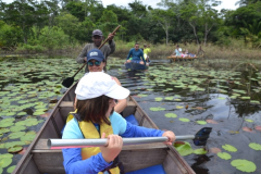 Canoagem-no-Pantanal-do-Marimbus