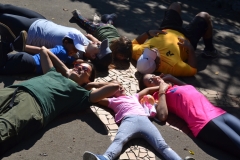 Foto-01