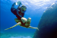 Observacao-da-fauna-e-flora-aquatica