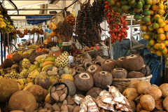Estudo-e-degustacao-de-alimentos-tipicos-da-regiao-Norte-do-Brasil