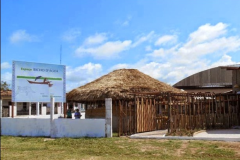 Palestra-sobre-os-mamiferos-aquaticos-do-Norte-do-Brasil