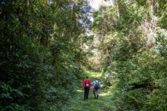 Caminhada-pela-Mata-Atlantica