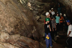 Estudos-sobre-a-ecologia-de-cavernas