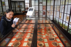 Museu-do-Meio-Ambiente-acervo-de
