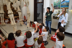 Explicacoes-e-perguntas-interacoes