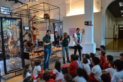 Explicando-as-funcoes-de-um-Museu