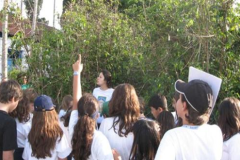 Estudos-sobre-o-cultivo-do-cafe