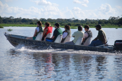 Passeio-de-barco-observacao-de-fauna
