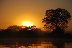 Por-do-Sol-no-Pantanal