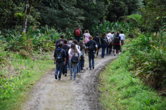 Caminhada-areas-preservadas