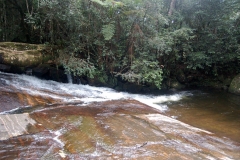 mamang1