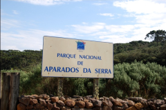 Preservacao-de-ecossistemas-junto-ao-Parque-Nacional-de-Aparados-da-Serra