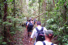 Caminhada-estudos-sobre-Mata-Atlantica