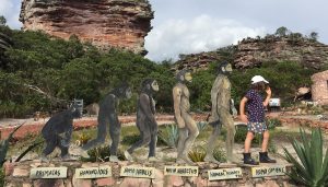 Leia mais sobre o artigo Chapada da Diamantina