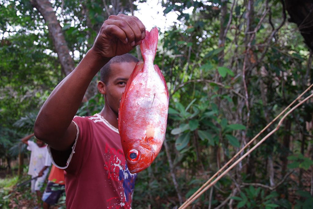 Pesca-Bertioga