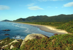 Leia mais sobre o artigo Cananéia e Ilha do Cardoso