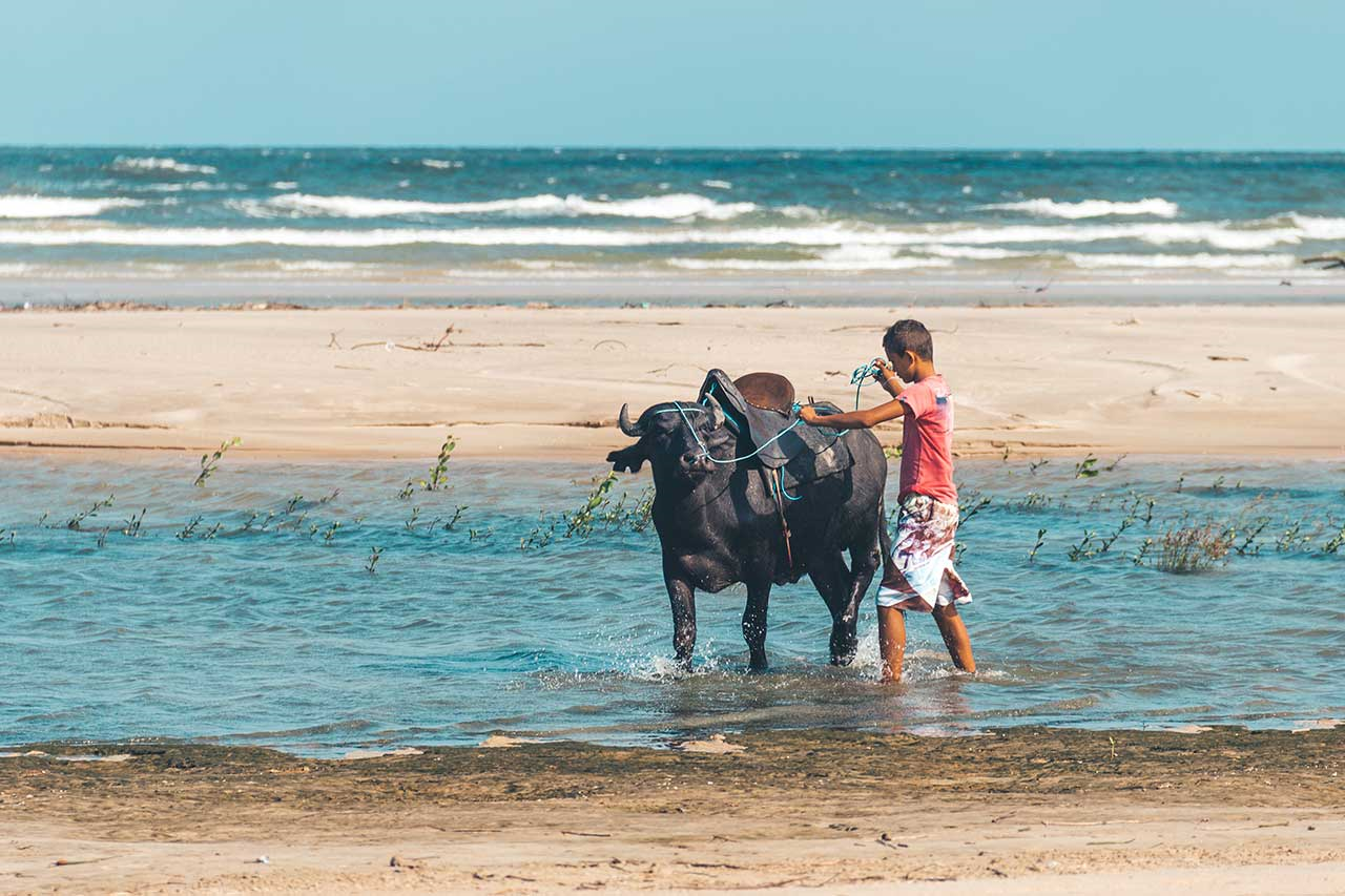 No momento, você está visualizando Ilha do Marajó